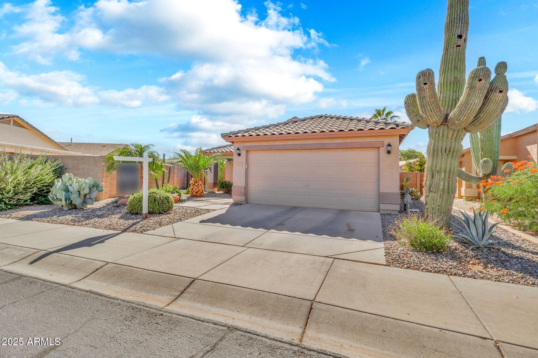 30178 N CORAL BEAN Drive