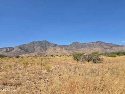 Lot 38 TBD -- 38 Hereford AZ 85615