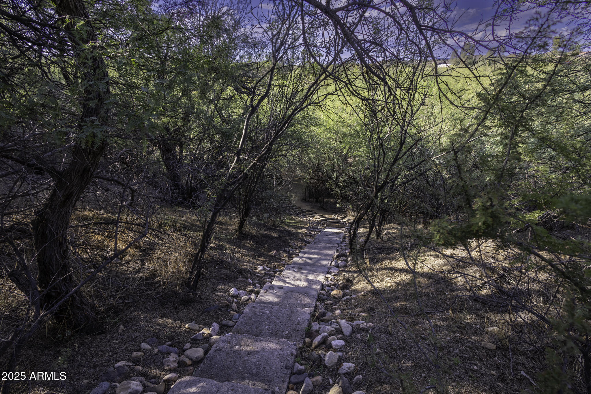 Lazy RC Ranch, Historic Brill Ranch on the Hassayampa River, Bordering the Nature Conservancy - Residential