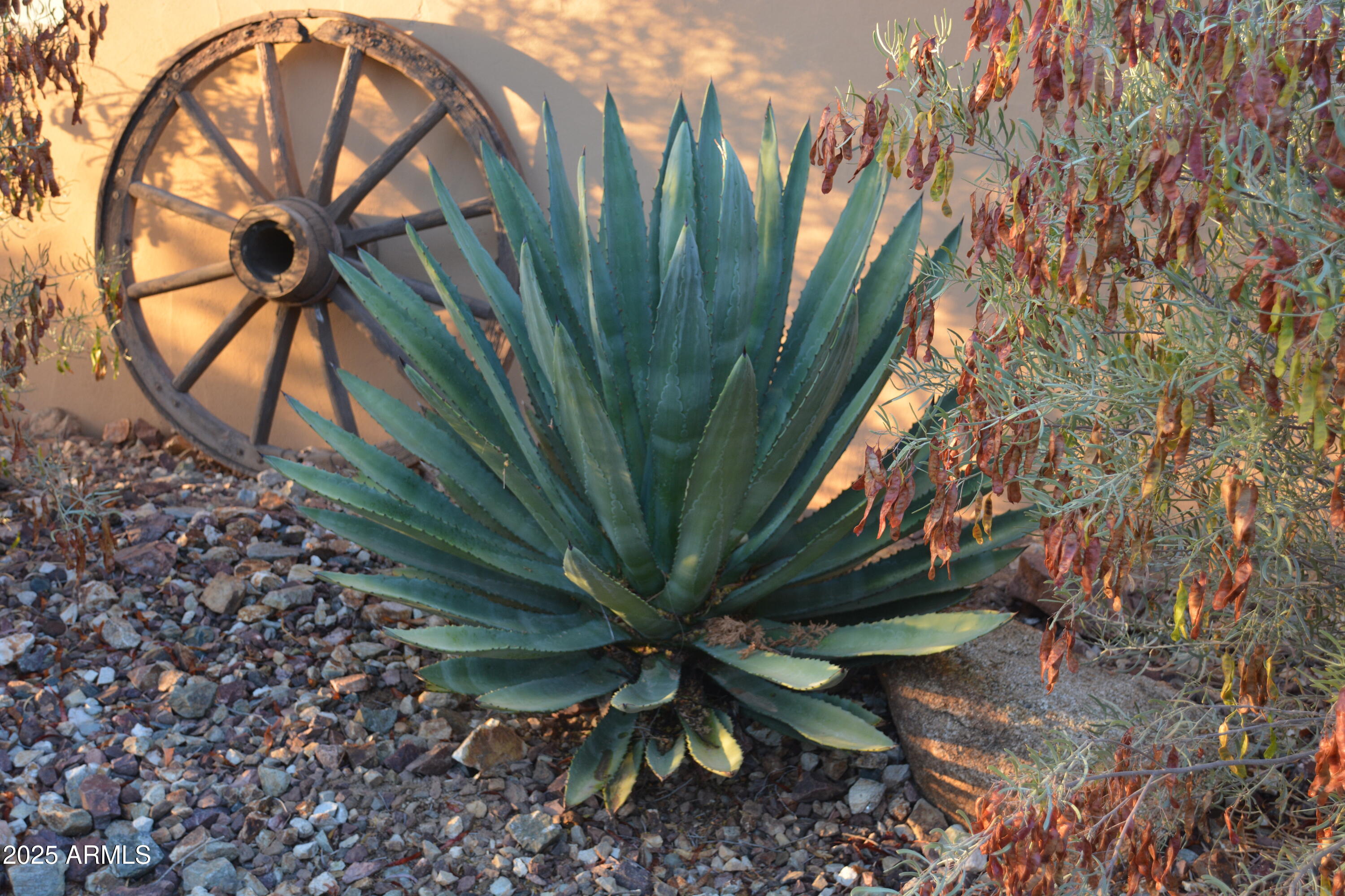 Lazy RC Ranch, Historic Brill Ranch on the Hassayampa River, Bordering the Nature Conservancy - Residential