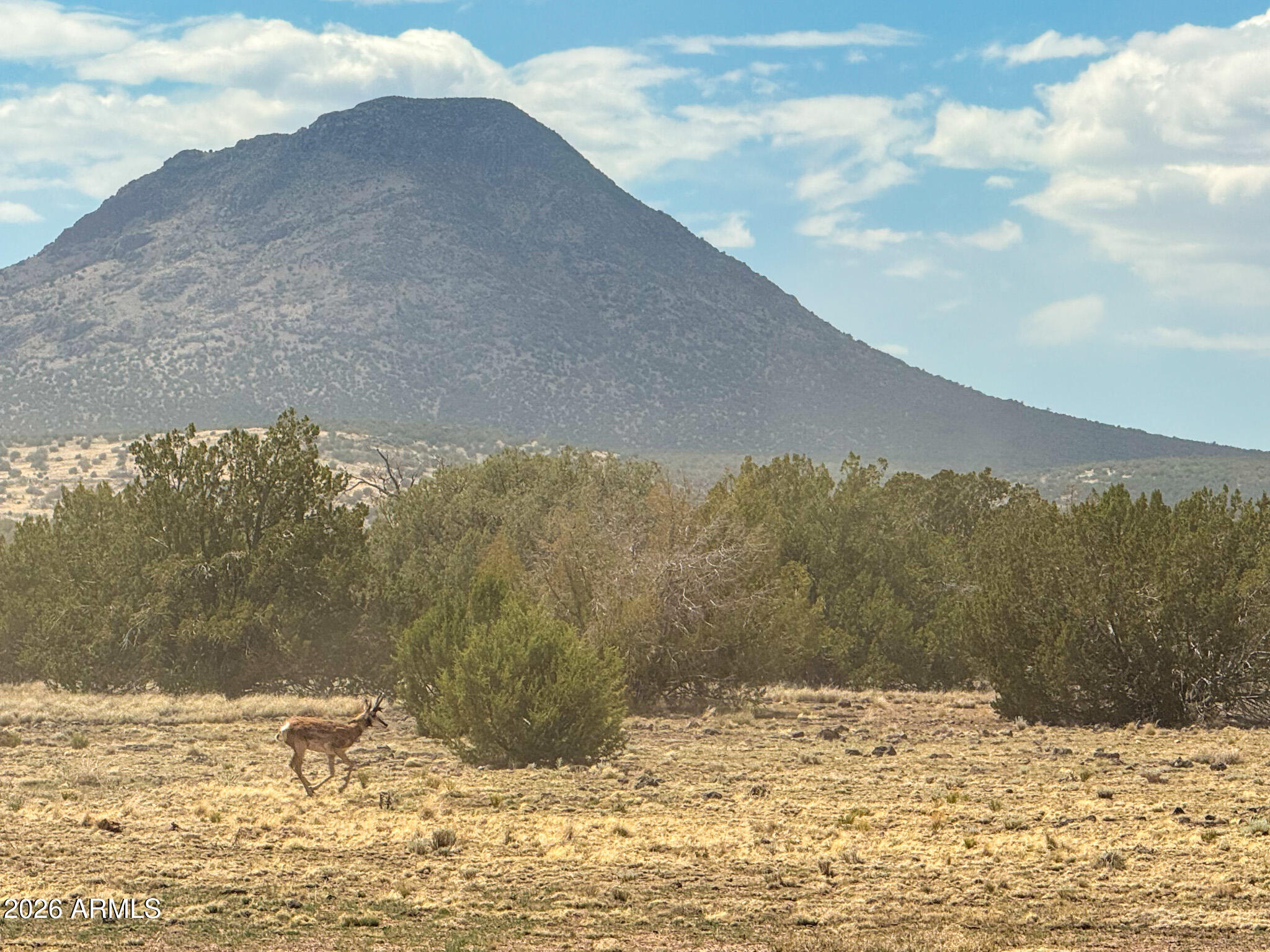 0 W Mile High Rd. Lot C 10 Acres -- 84