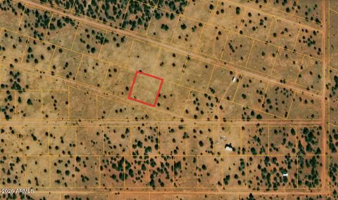 4743 E VALLEY VIEW Drive 290 Williams AZ 86046