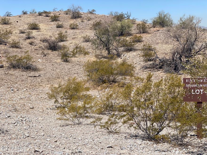 Custom building lot in the exclusive gated Sonoran Vistas at Estrella Mountain Ranch. Nearly ½ acre, slightly elevated for a walkout basement, bordering common area for privacy. Panoramic unobstructed views in all directions--grand mountains to the Northwest, South, and East--perfect for capturing stunning Arizona sunsets. Build your dream home in this premier community of multi-million-dollar custom residences. Walk to shopping, restaurants, Starpointe Residents' Club (pools, fitness, waterpark), and North Lake for kayaking, fishing, and birdwatching. South Lake offers pickleball courts, volleyball and much more. Enjoy community activities like Food Truck Nights, Farmers Market and multiple clubs to join. One-of-a-kind opportunity--come walk the lot and see the views yourself! Owner/Agent