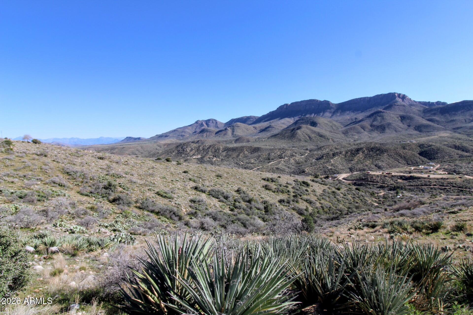 TBD Mountain Lion Pass -- #4