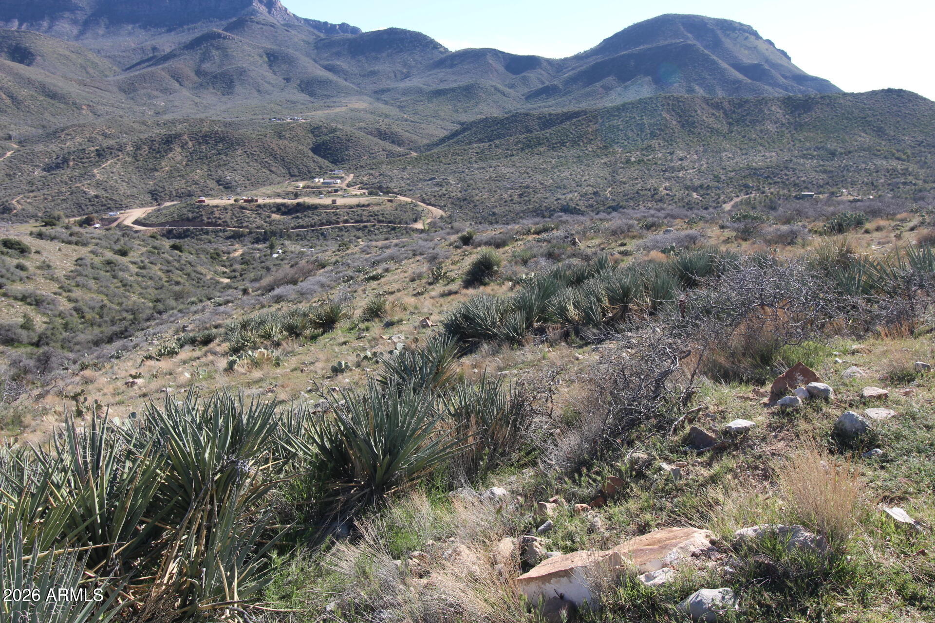 TBD Mountain Lion Pass -- #4