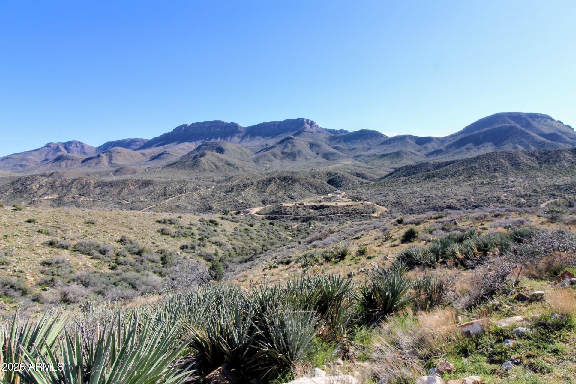 TBD Mountain Lion Pass -- #4