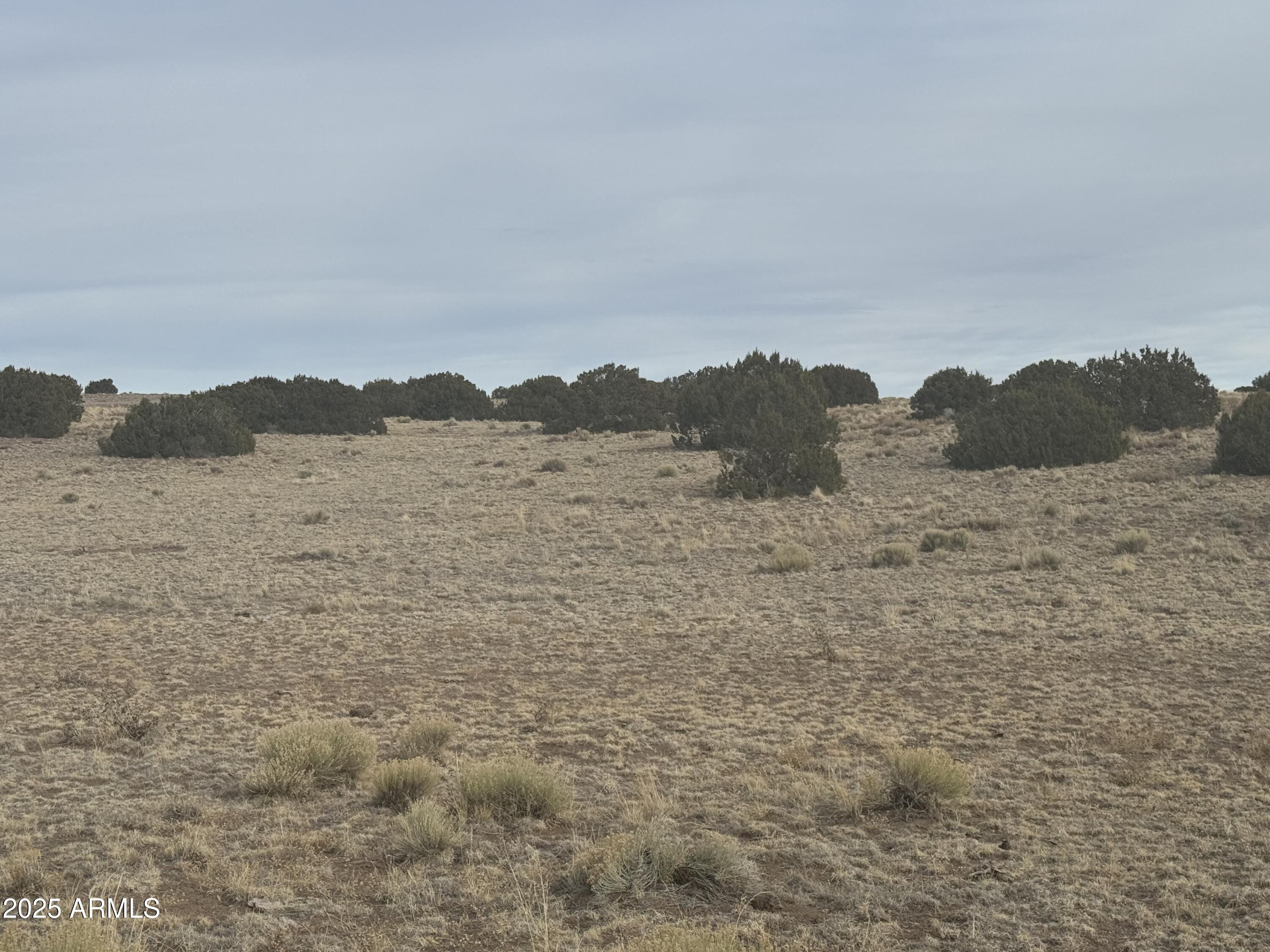 107 & 108 Elk Valley Ranch -- 107 &108