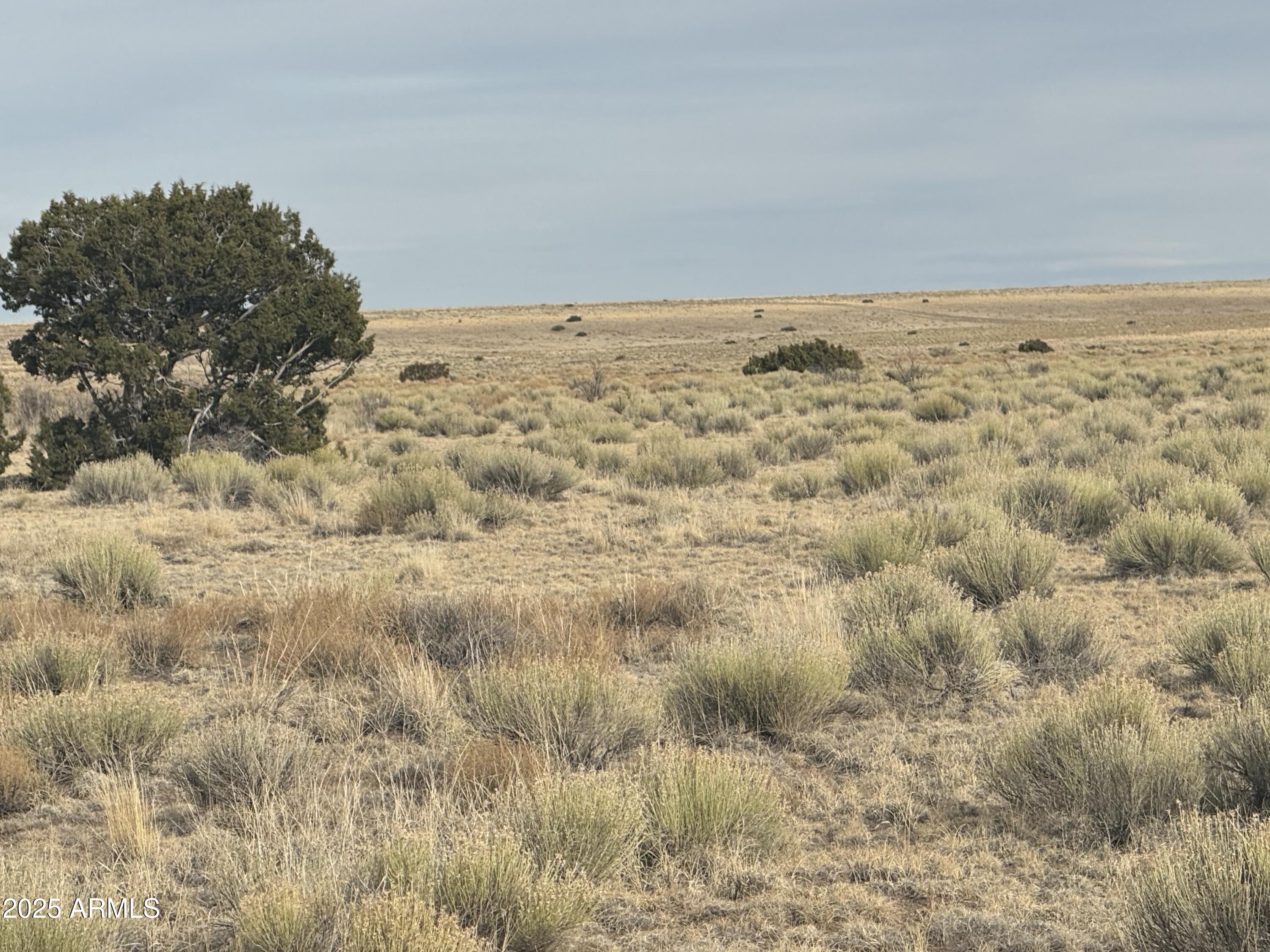 107 & 108 Elk Valley Ranch -- 107 &108