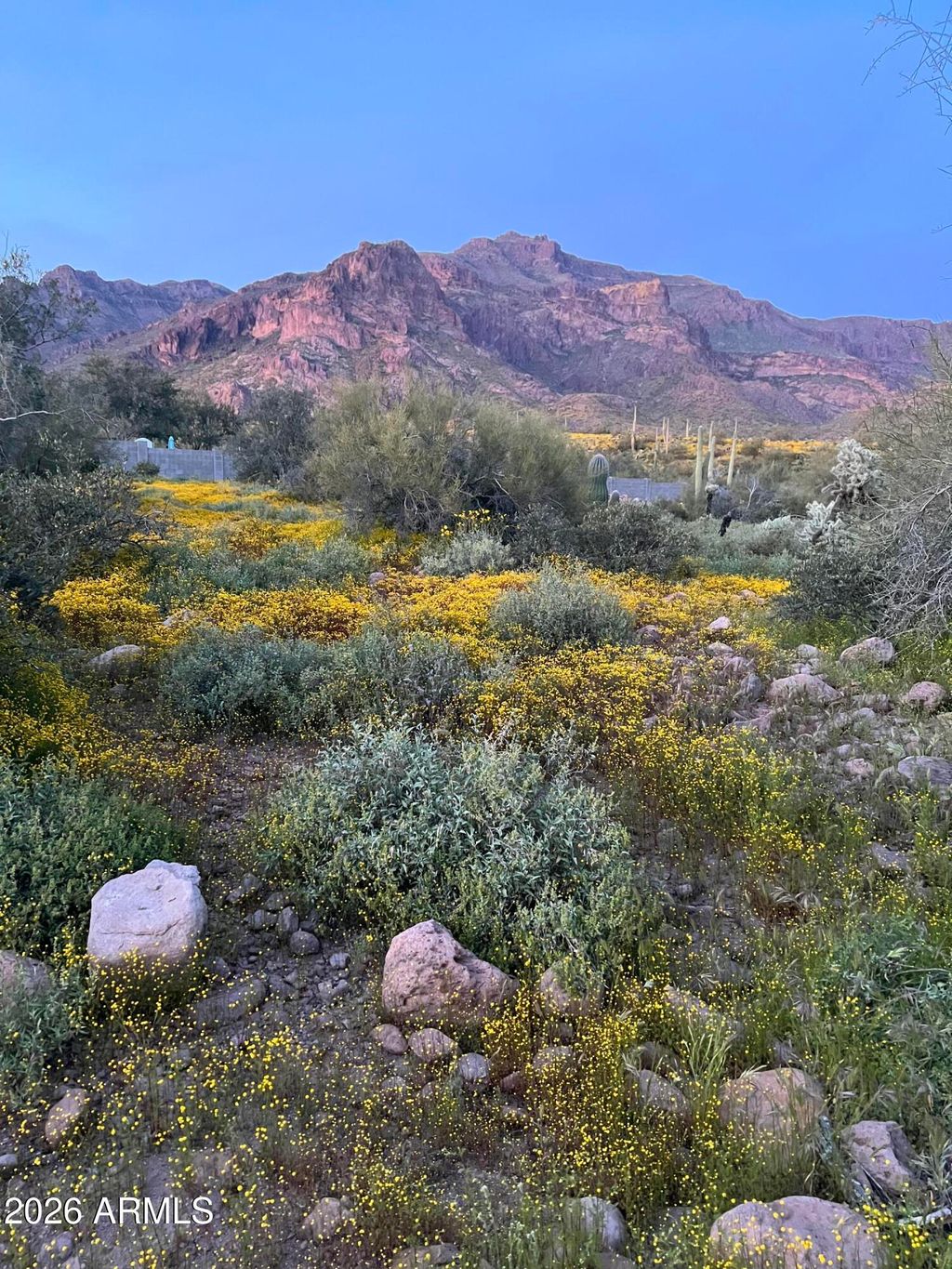 Photo of 0 S Buckboard Road #2, Gold Canyon, AZ 85118 (MLS # 6913437)