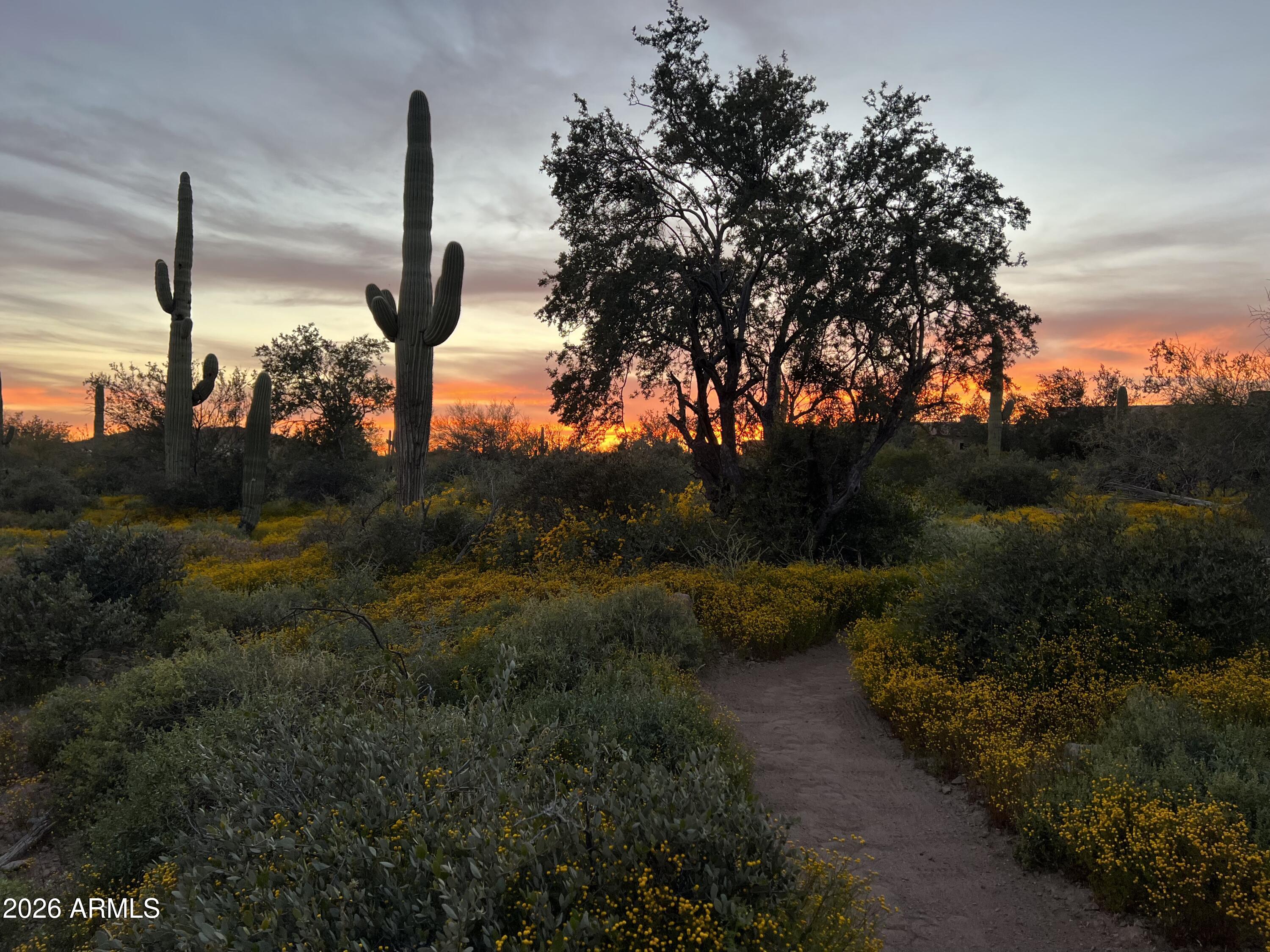 0 S Buckboard Road 2