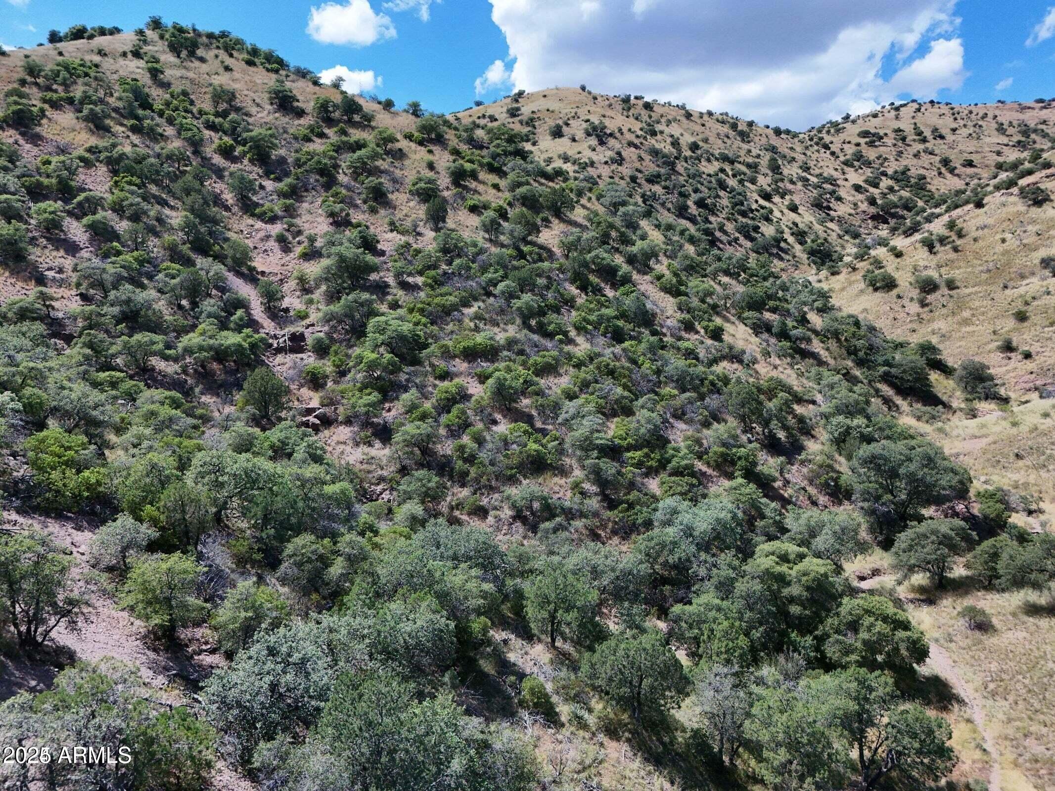 TBD Zacatecas Canyon -- 24