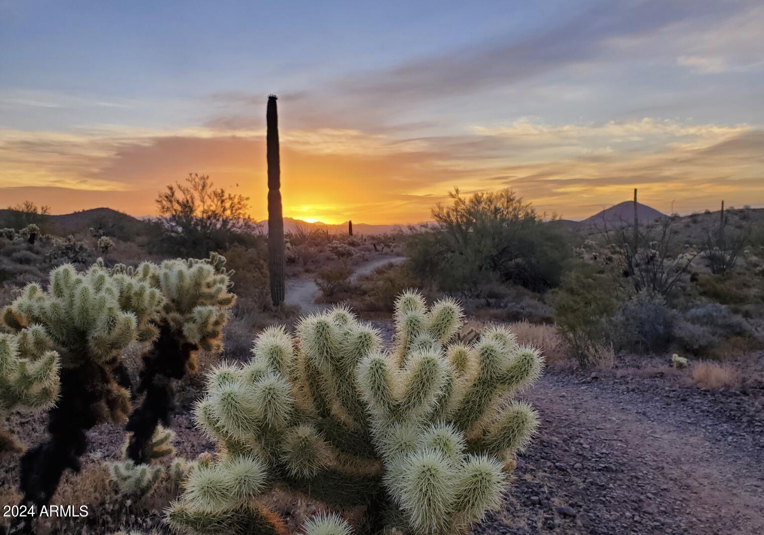 DESERT MOUNTAIN PHASE 2 UNIT 20 - Residential
