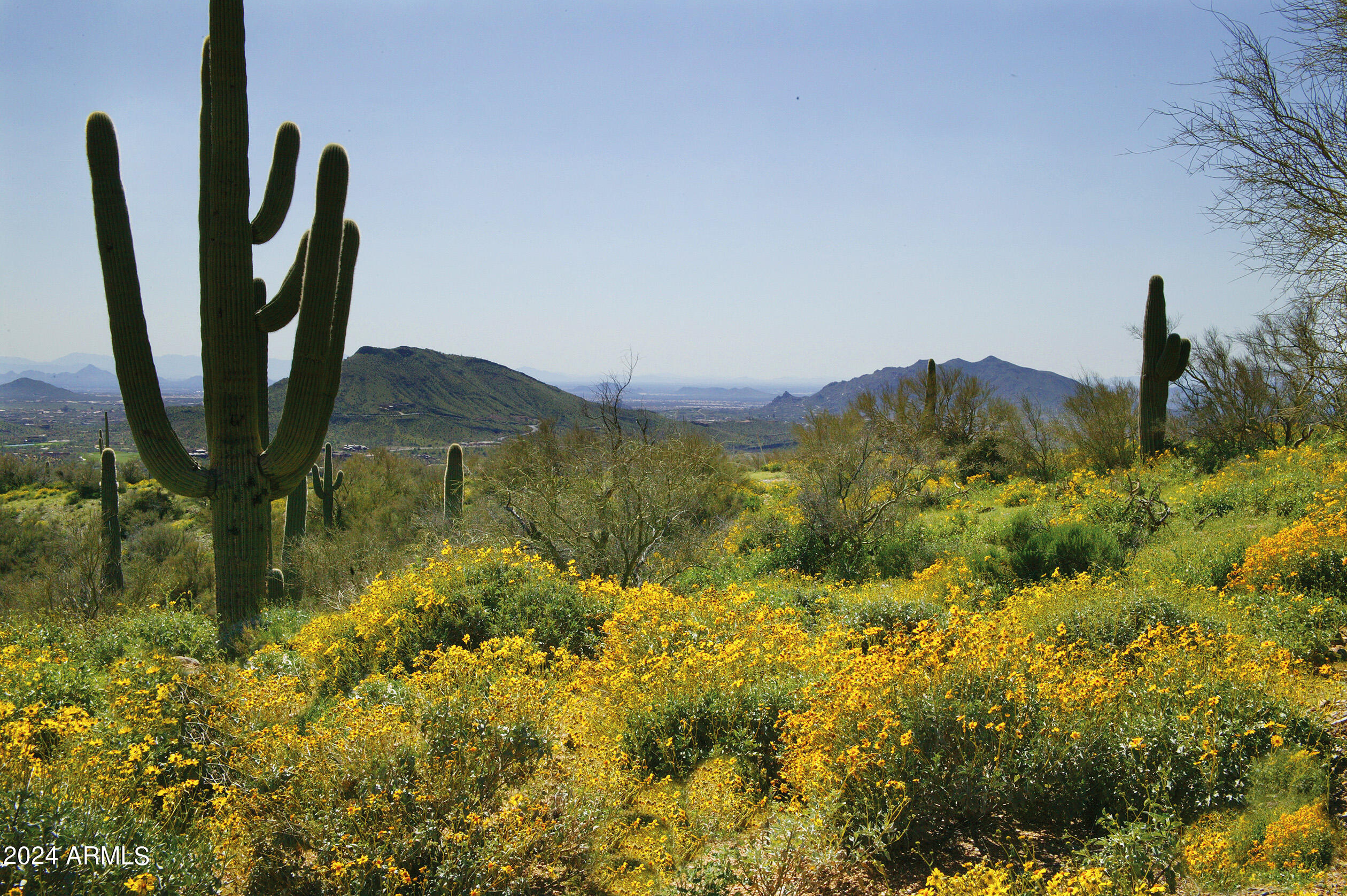 DESERT MOUNTAIN PHASE 2 UNIT 20 - Residential