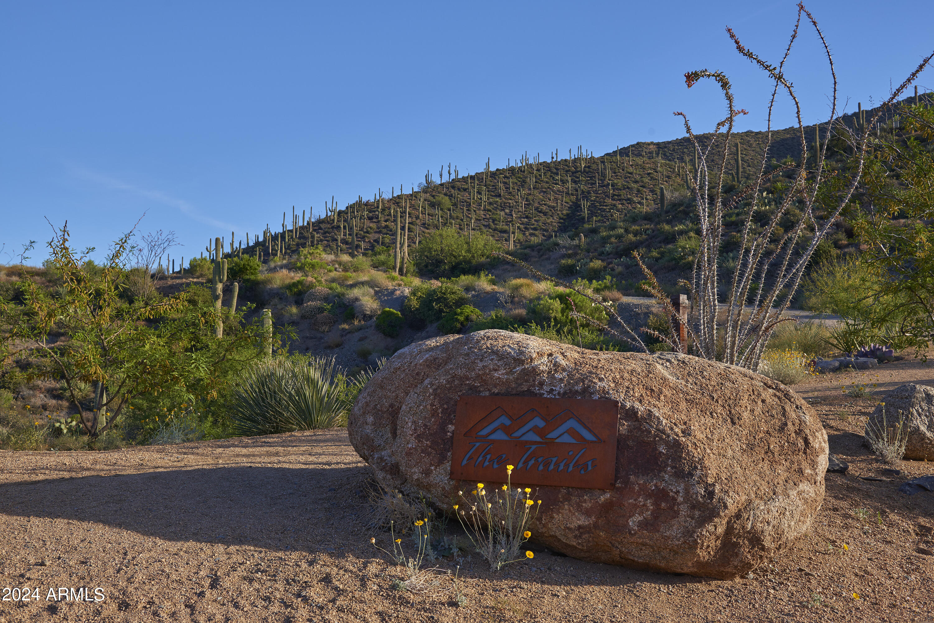 DESERT MOUNTAIN PHASE 2 UNIT 20 - Residential