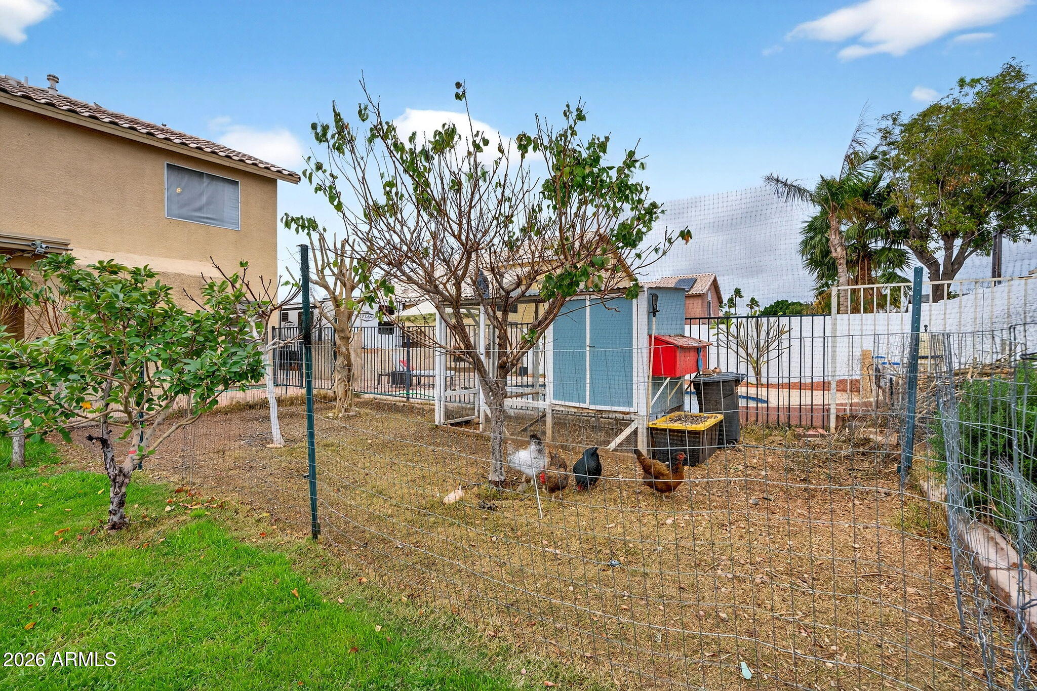 10824 W LONE CACTUS Drive