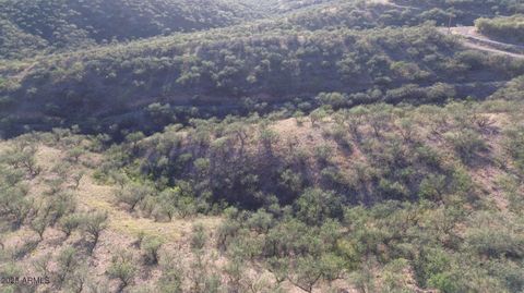 1190 CALLE CHAPARRAL -- 54 Rio Rico AZ 85648