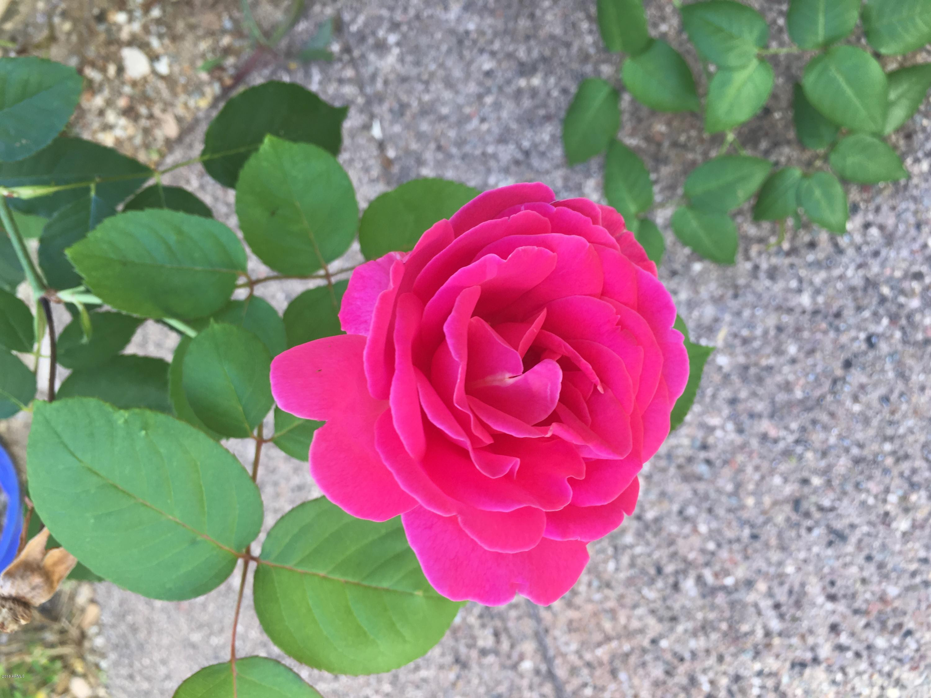 2732 W Florimond Road