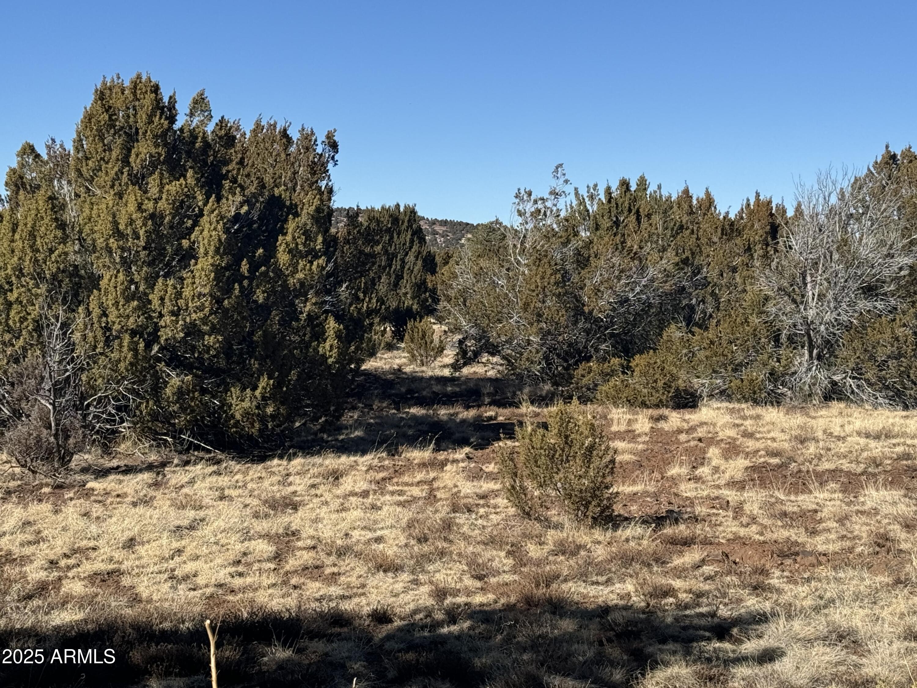 SKYLINE RANCH - Land
