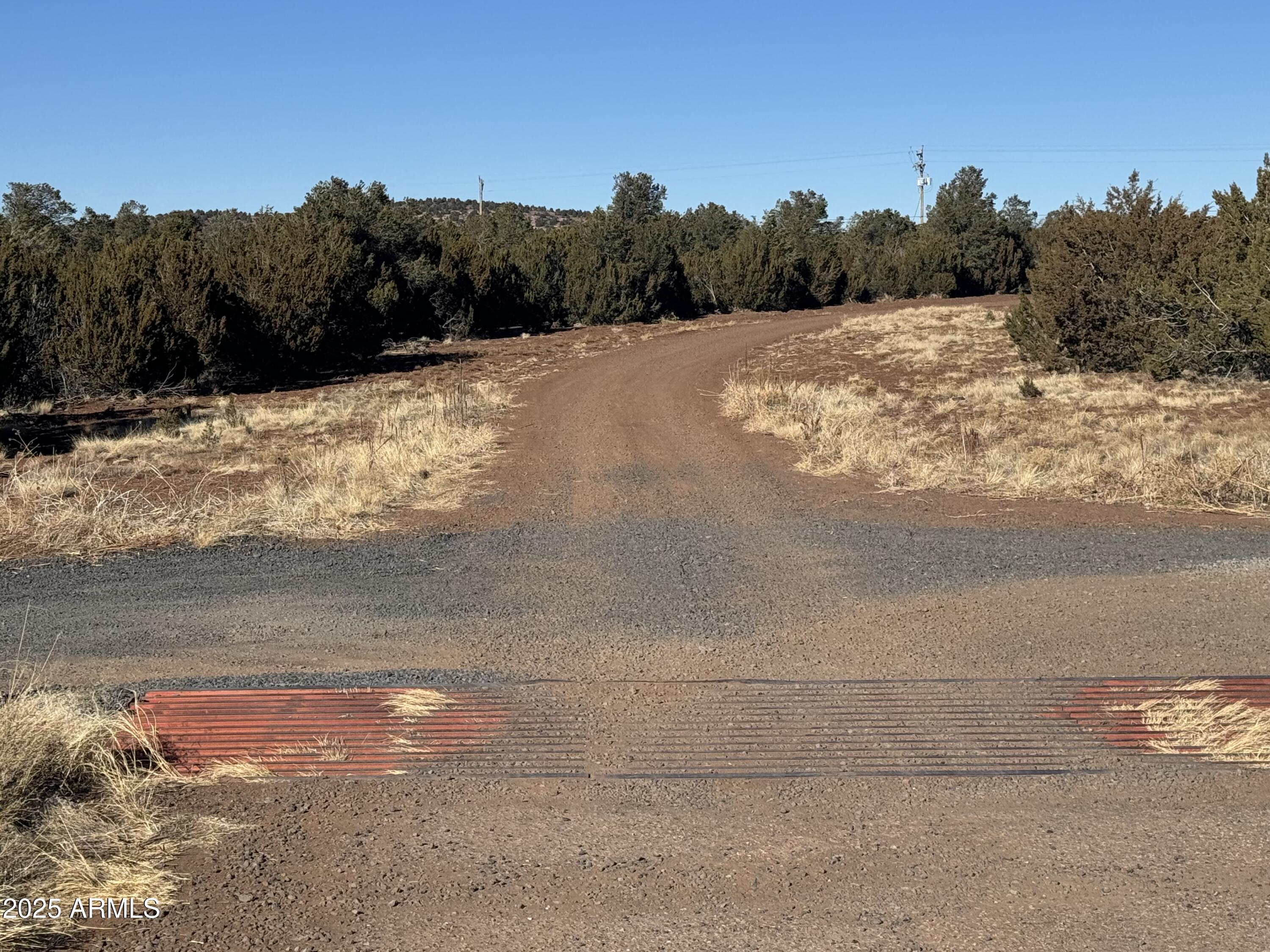 #5 Skyline Ranch -- 5