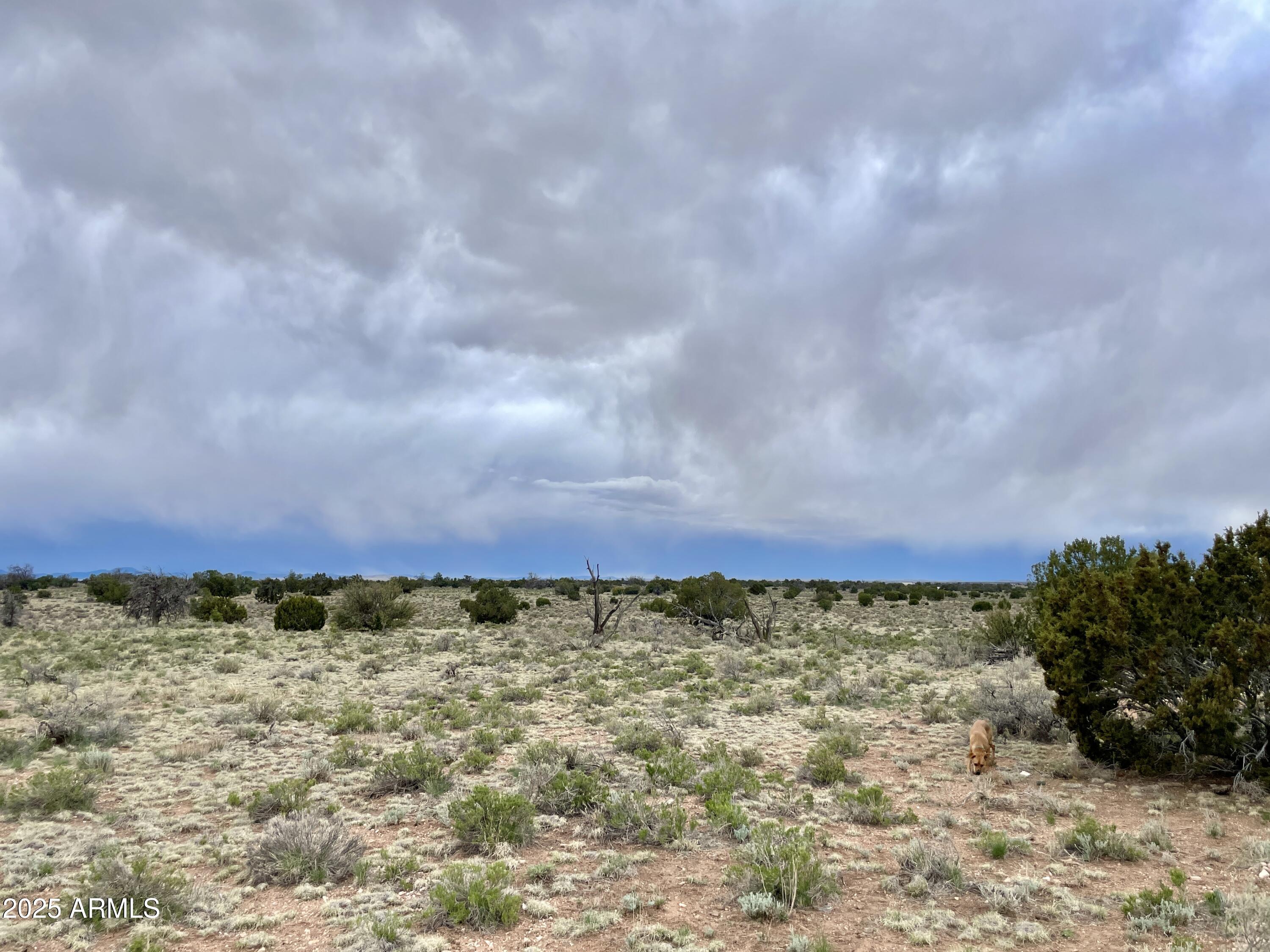 3998 RED BUTTE Road 161