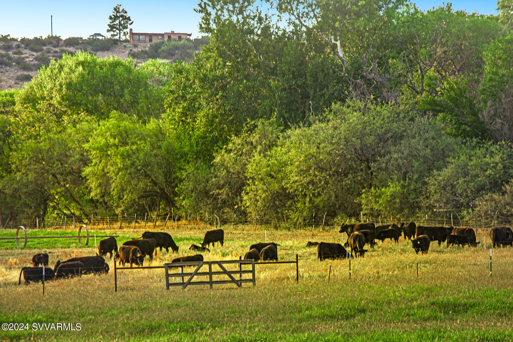 10647 E SWINGING BRIDGE Lane