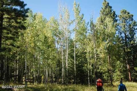 A home in Pinetop