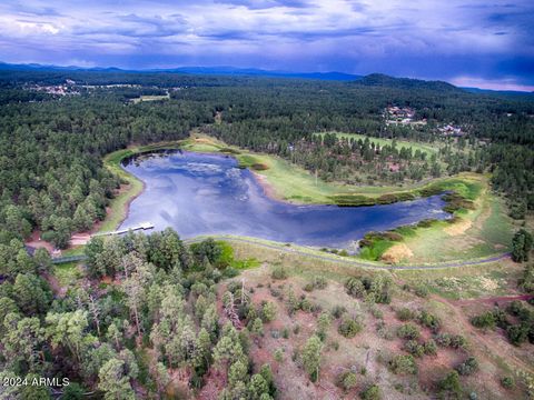 A home in Pinetop