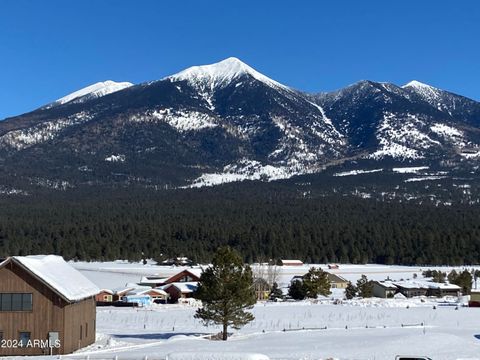 A home in Flagstaff