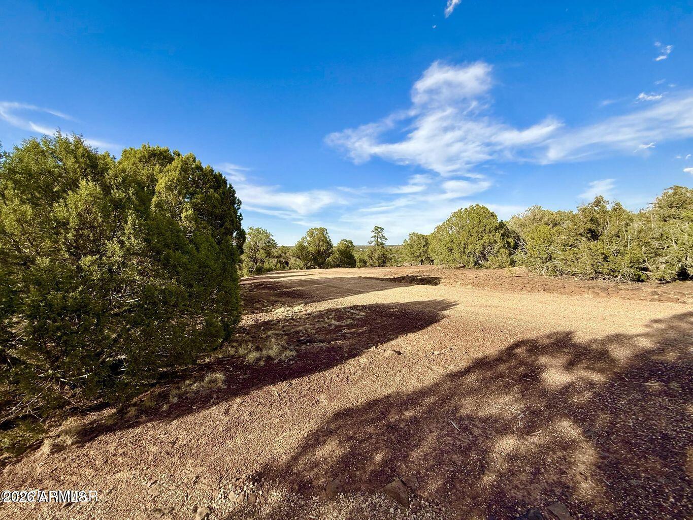 White Mountain Lakes - Land