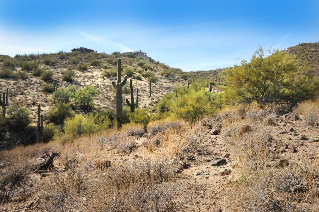 Photo of 11664 N Sunset Vista Drive #45, Fountain Hills, AZ 85268 (MLS # 6794165)