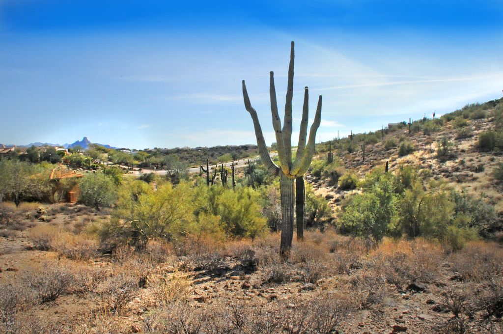 Photo of 11664 N Sunset Vista Drive #45, Fountain Hills, AZ 85268 (MLS # 6794165)