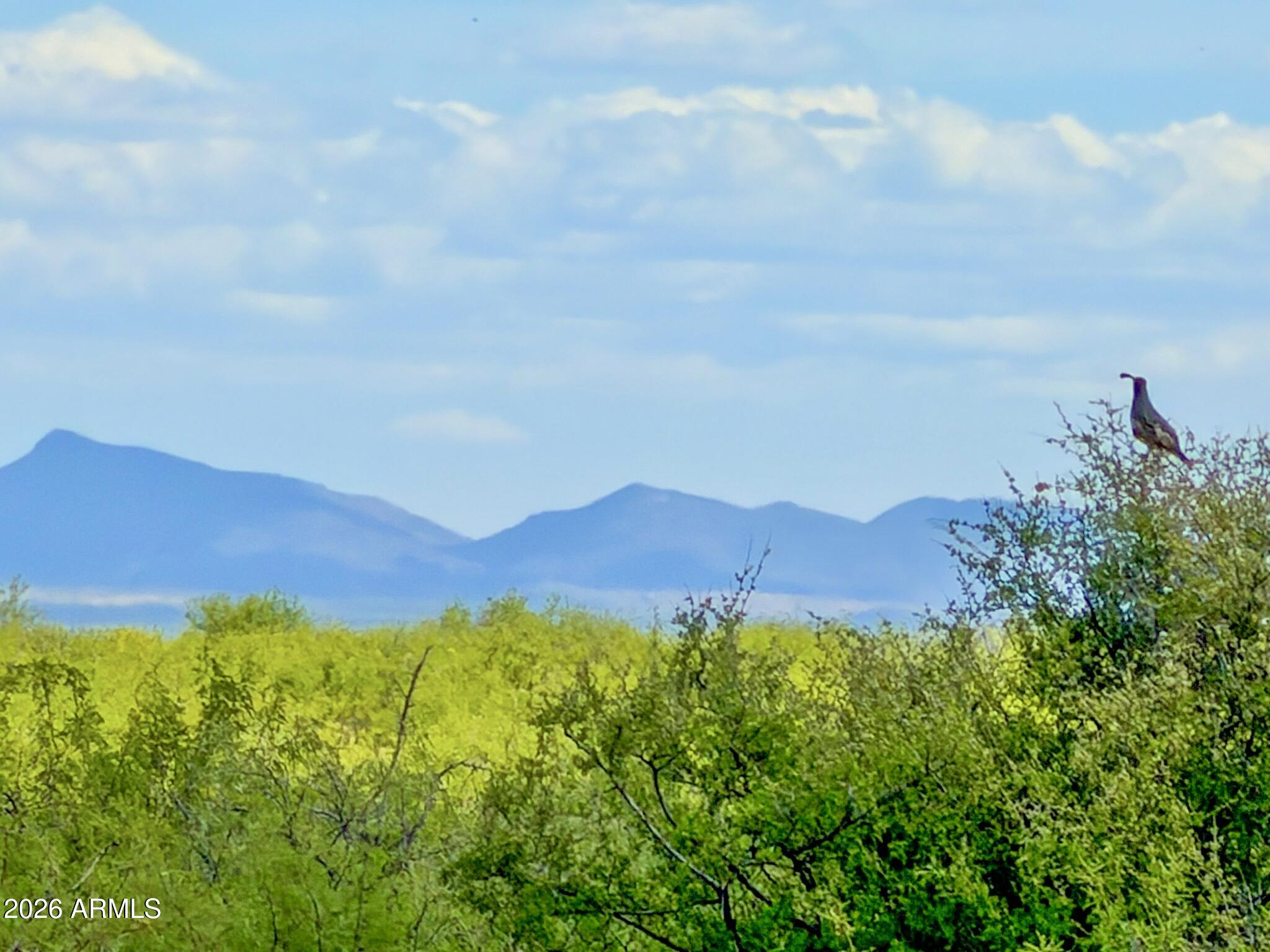 TBD S Solar Run 39 Acres -- -