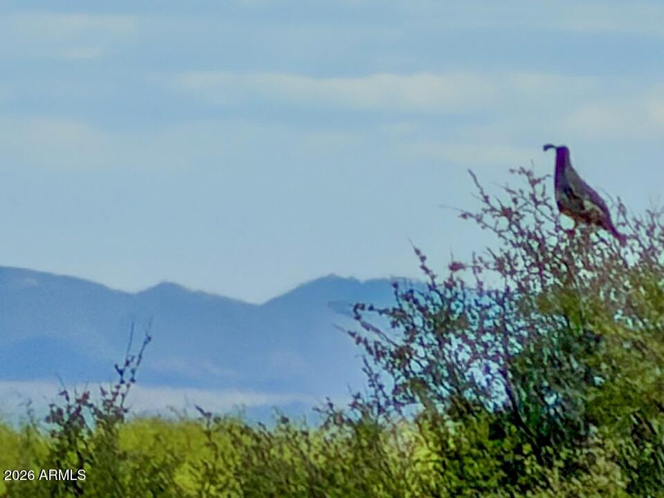 TBD S Solar Run 39 Acres -- -