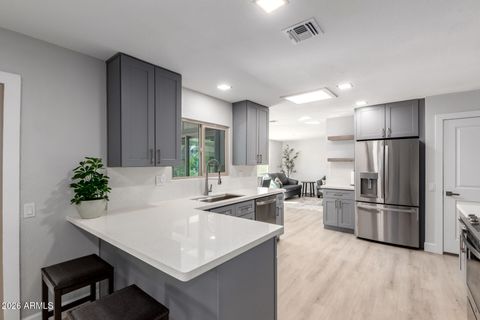 13103 W CASTLEBAR Drive Sun City West AZ 85375