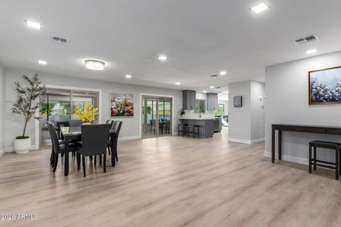 13103 W CASTLEBAR Drive Sun City West AZ 85375