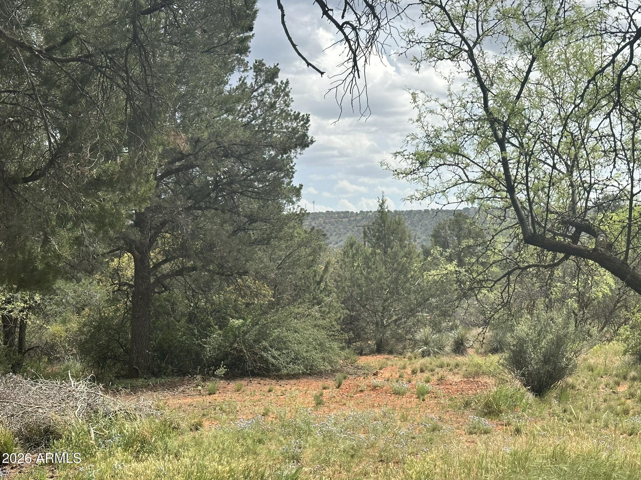 CEDAR RIDGE - Land