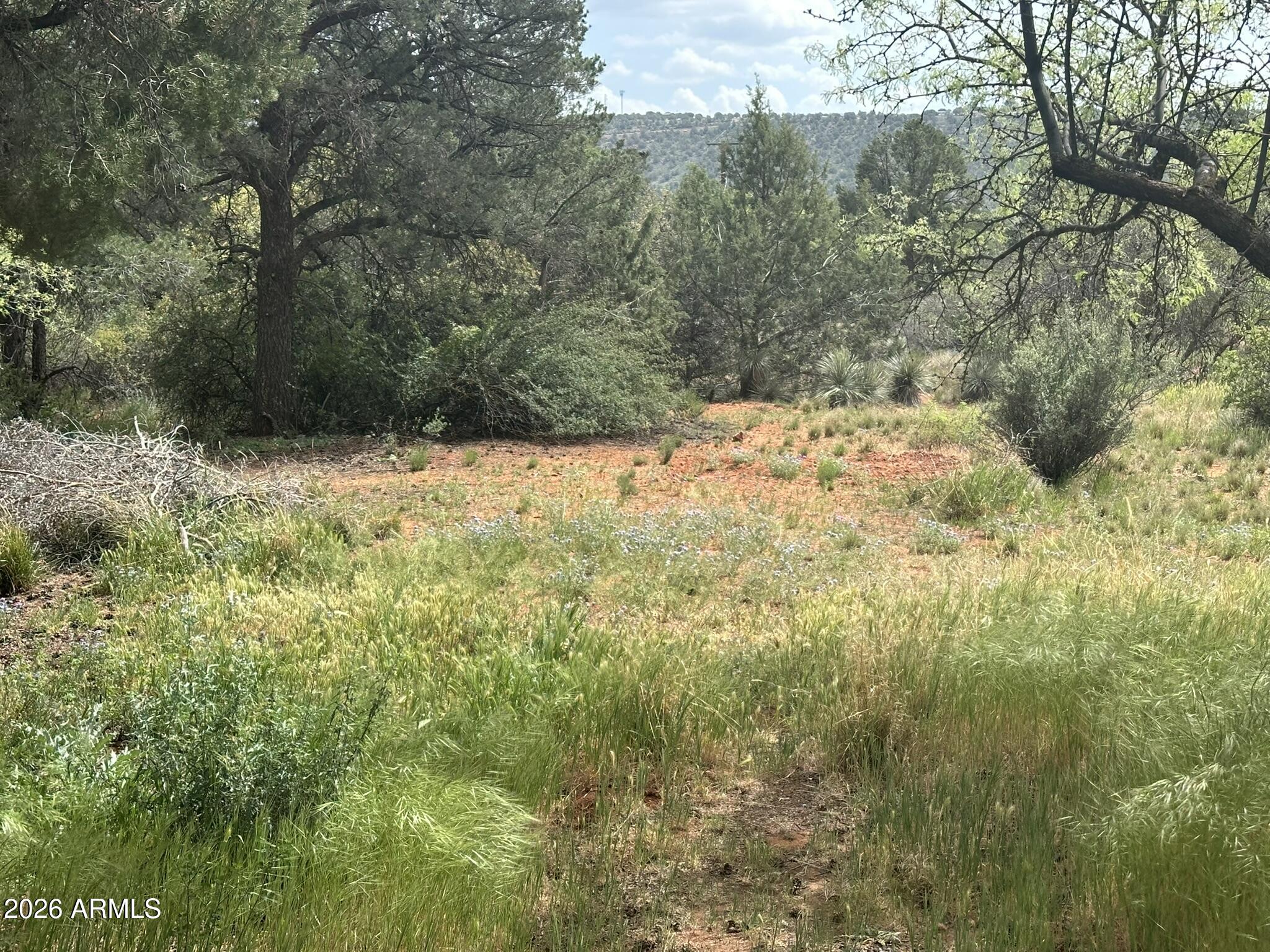 CEDAR RIDGE - Land