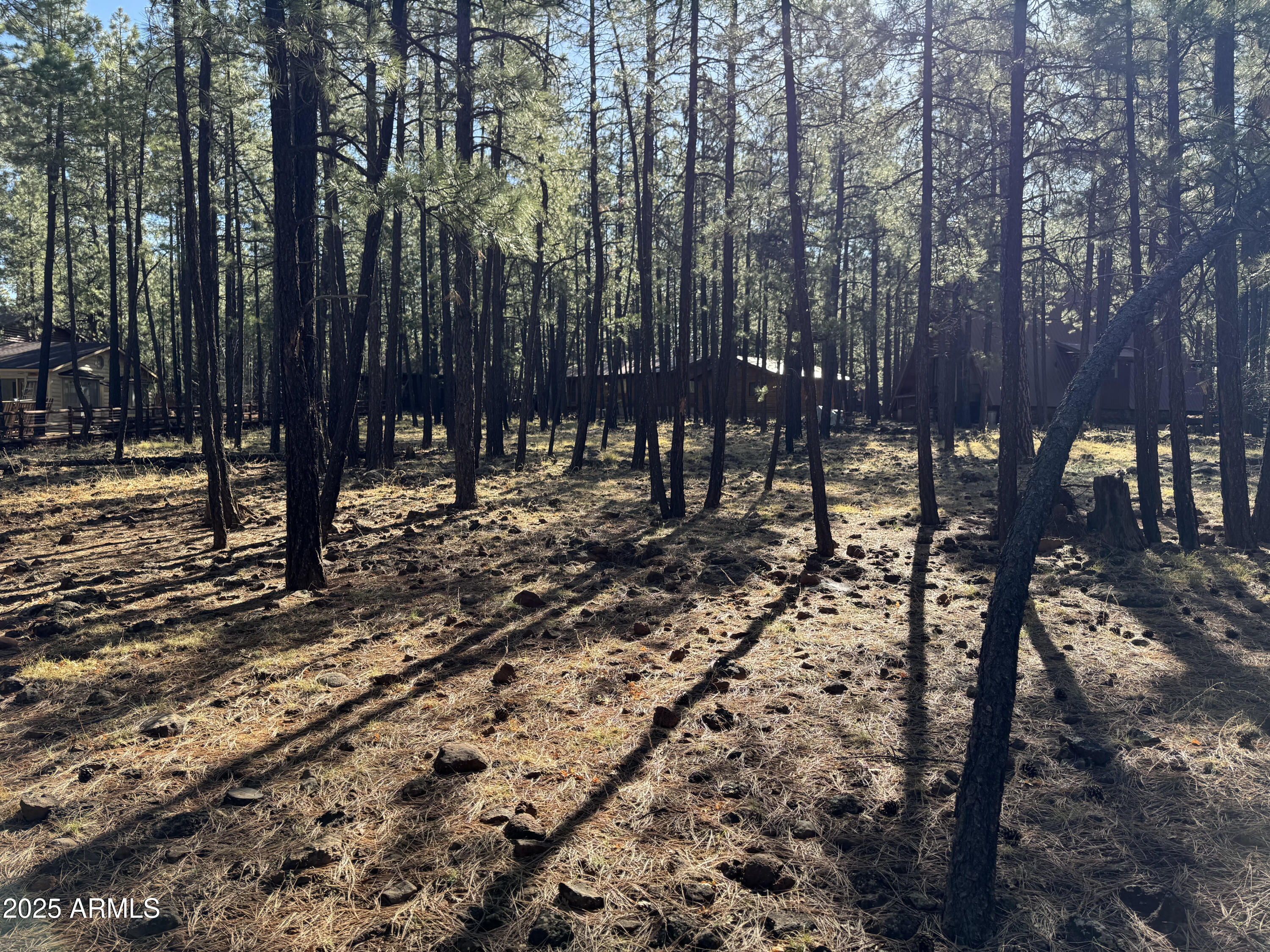 7543 SUNSET Circle 81