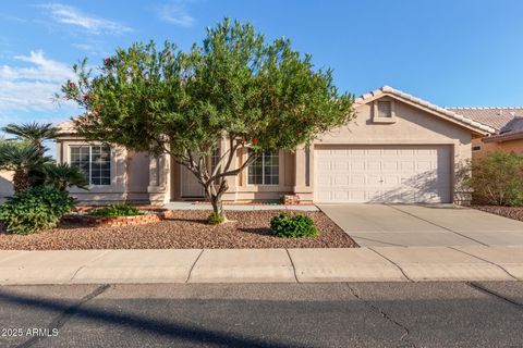 1221 S BRIDGER Drive Chandler AZ 85286