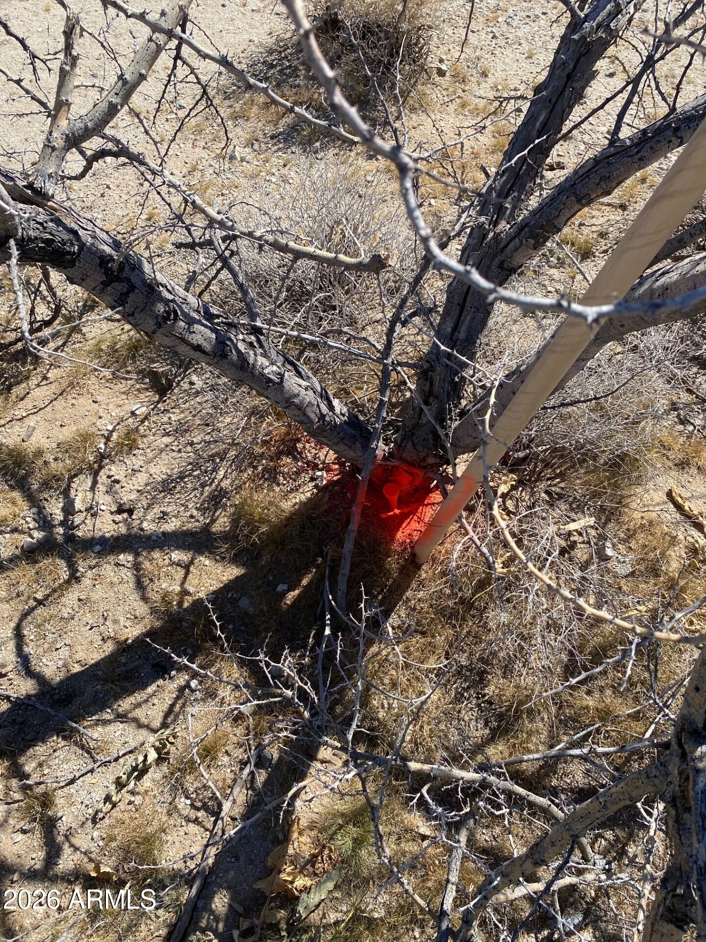 268XX W CAMPBELL Avenue -