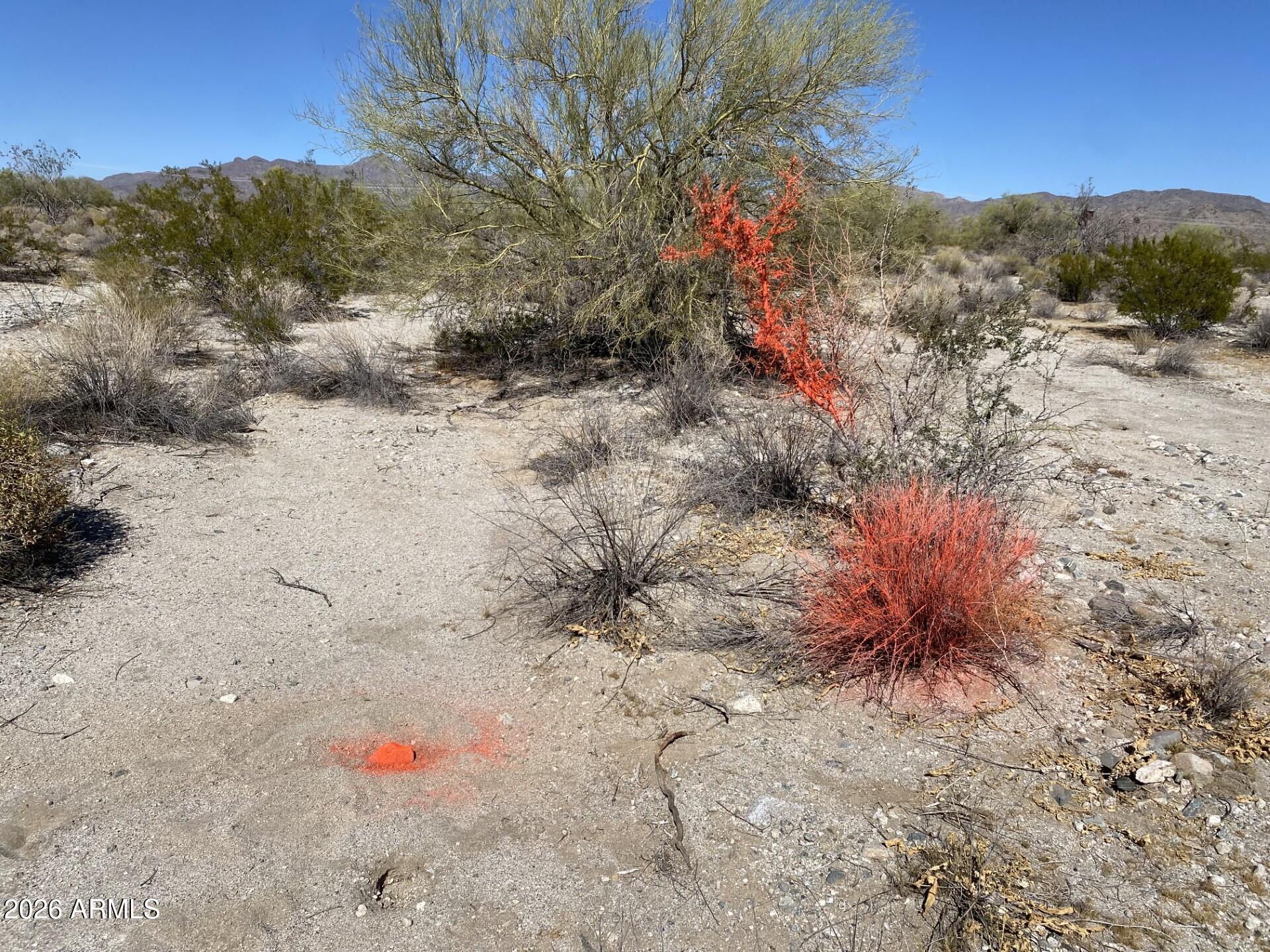 268XX W CAMPBELL Avenue -