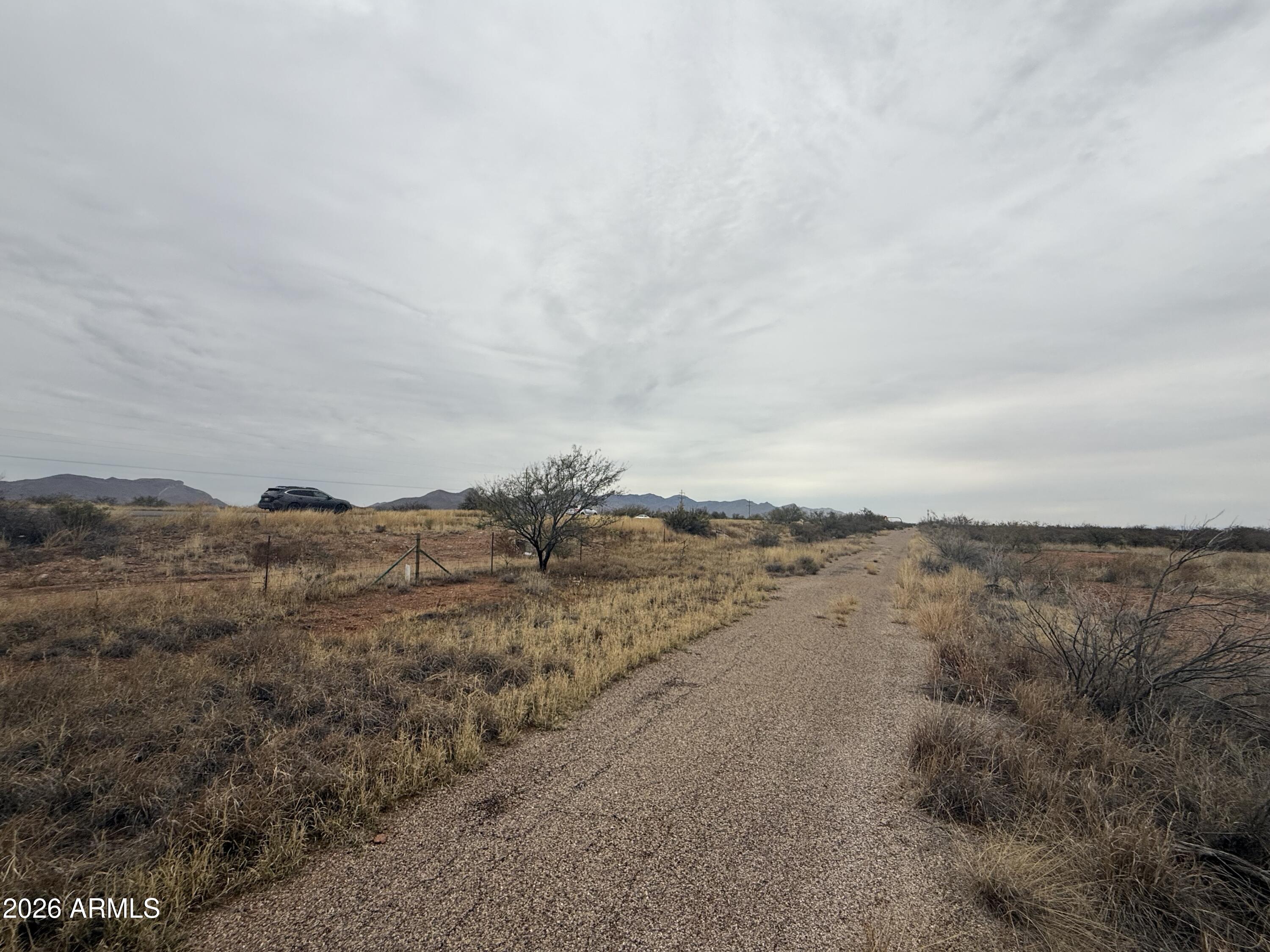 TBD AZ Wildcats Drive 10