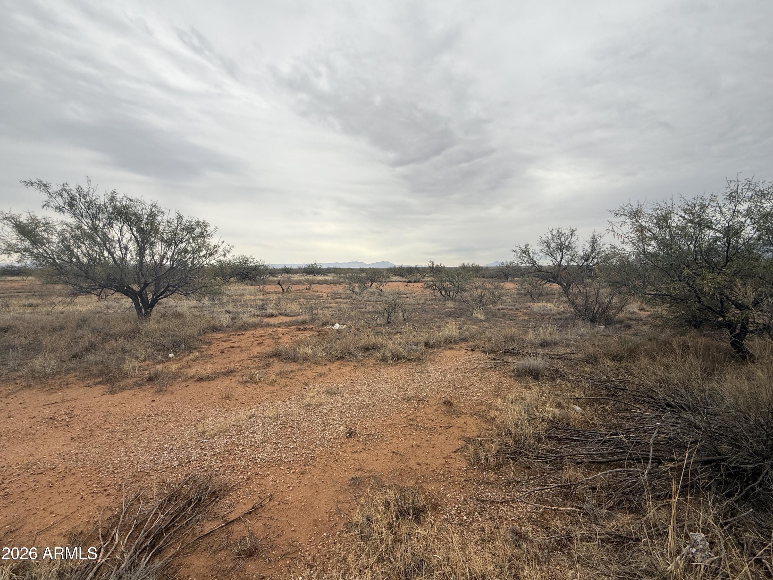 TBD AZ Wildcats Drive 10