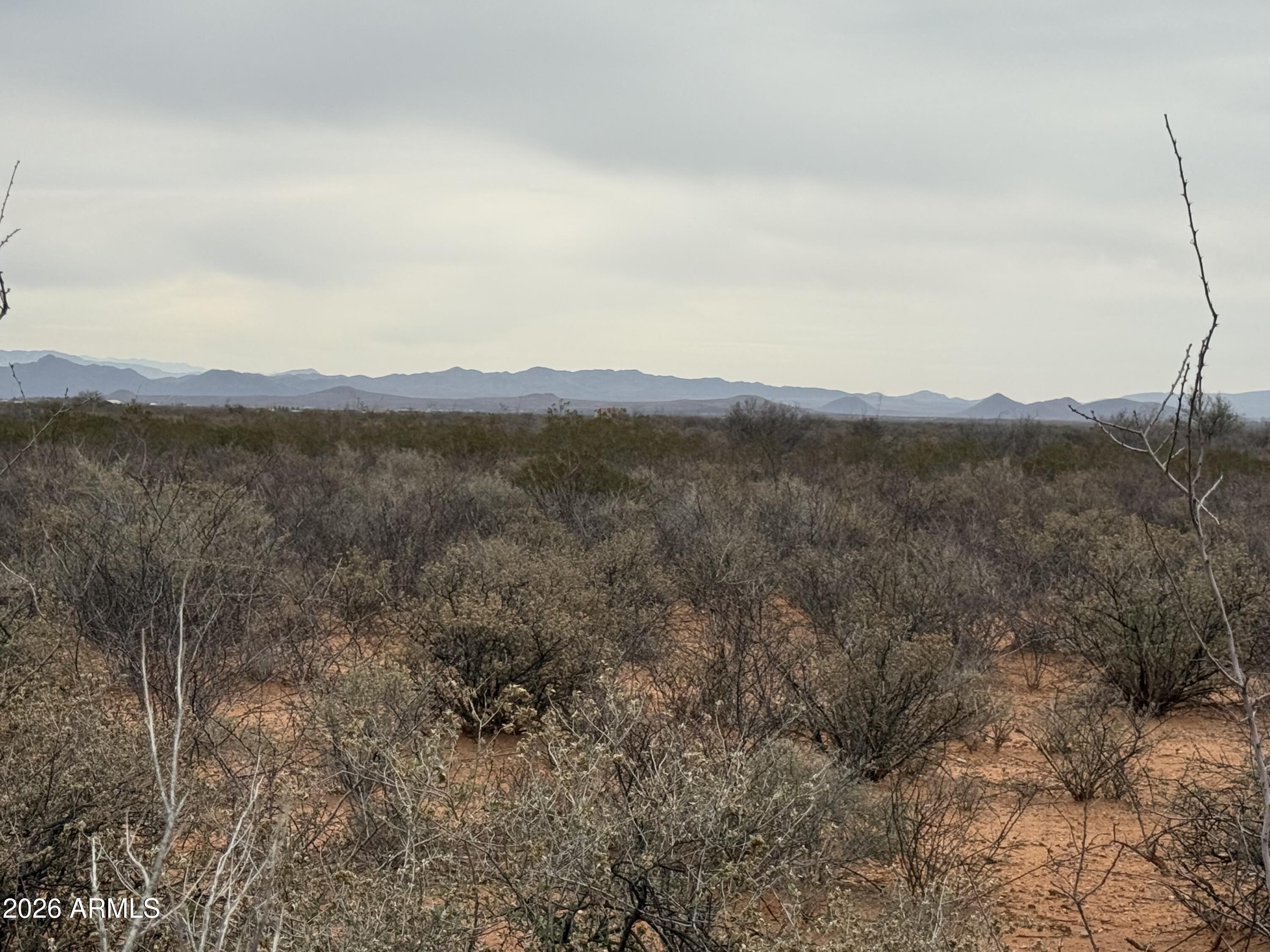 TBD AZ Wildcats Drive 10