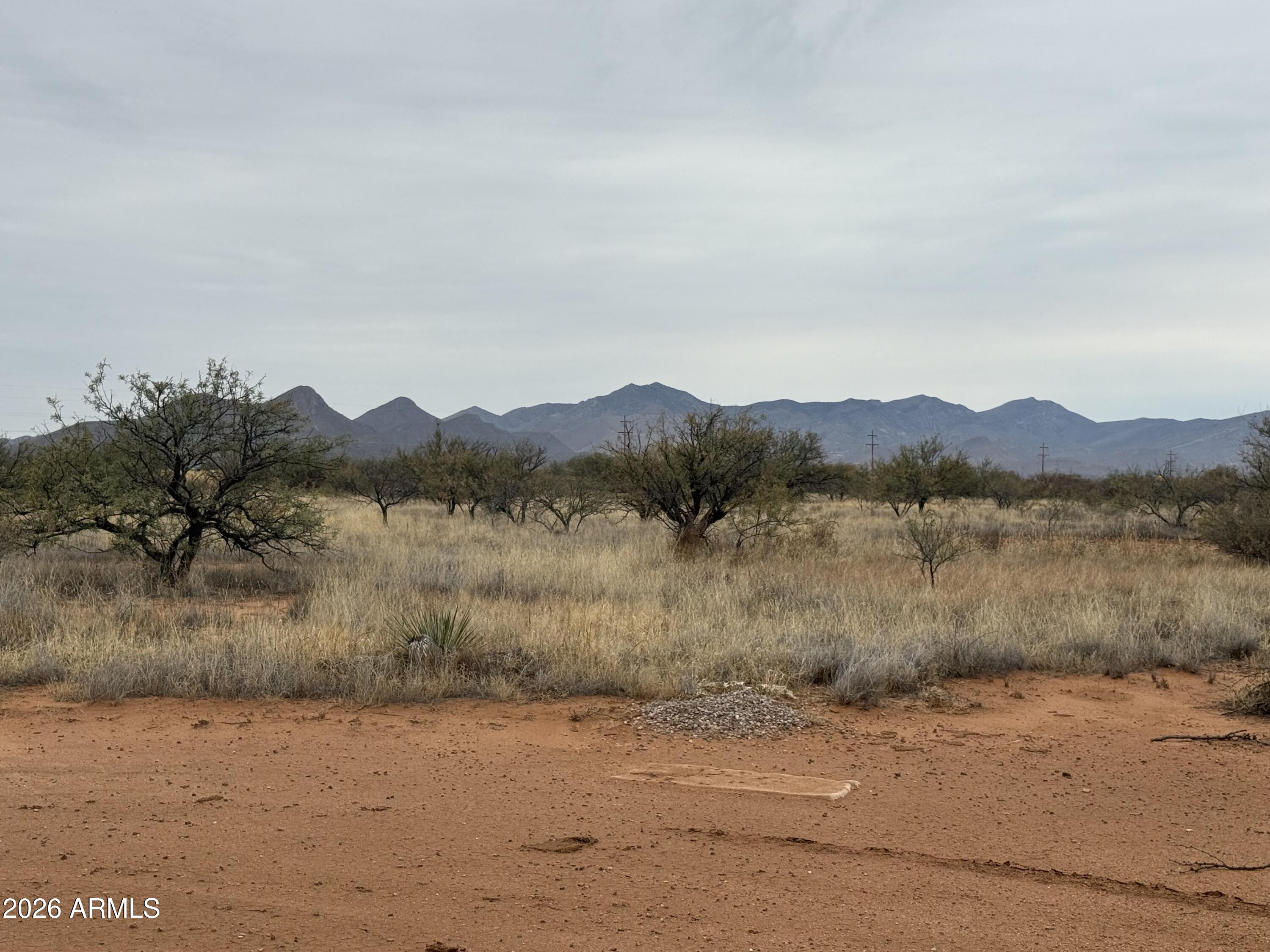 TBD AZ Wildcats Drive 10