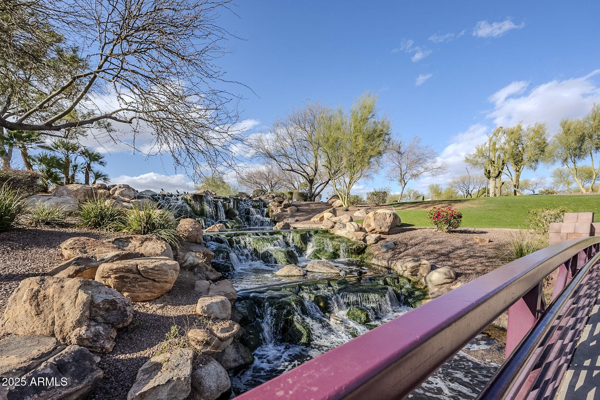 3703 W MCCAULEY Court