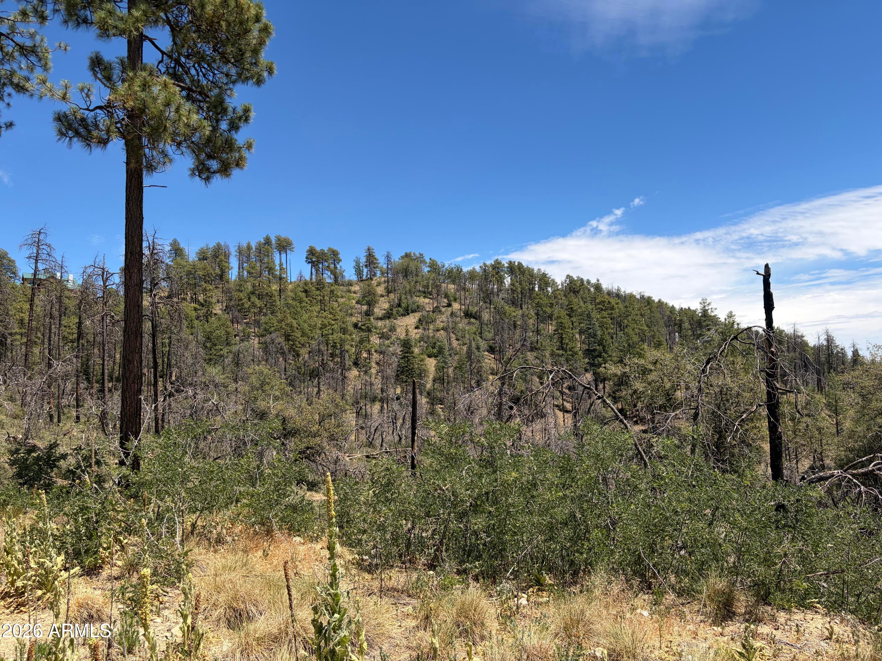 1002 S turkey trot Trail -