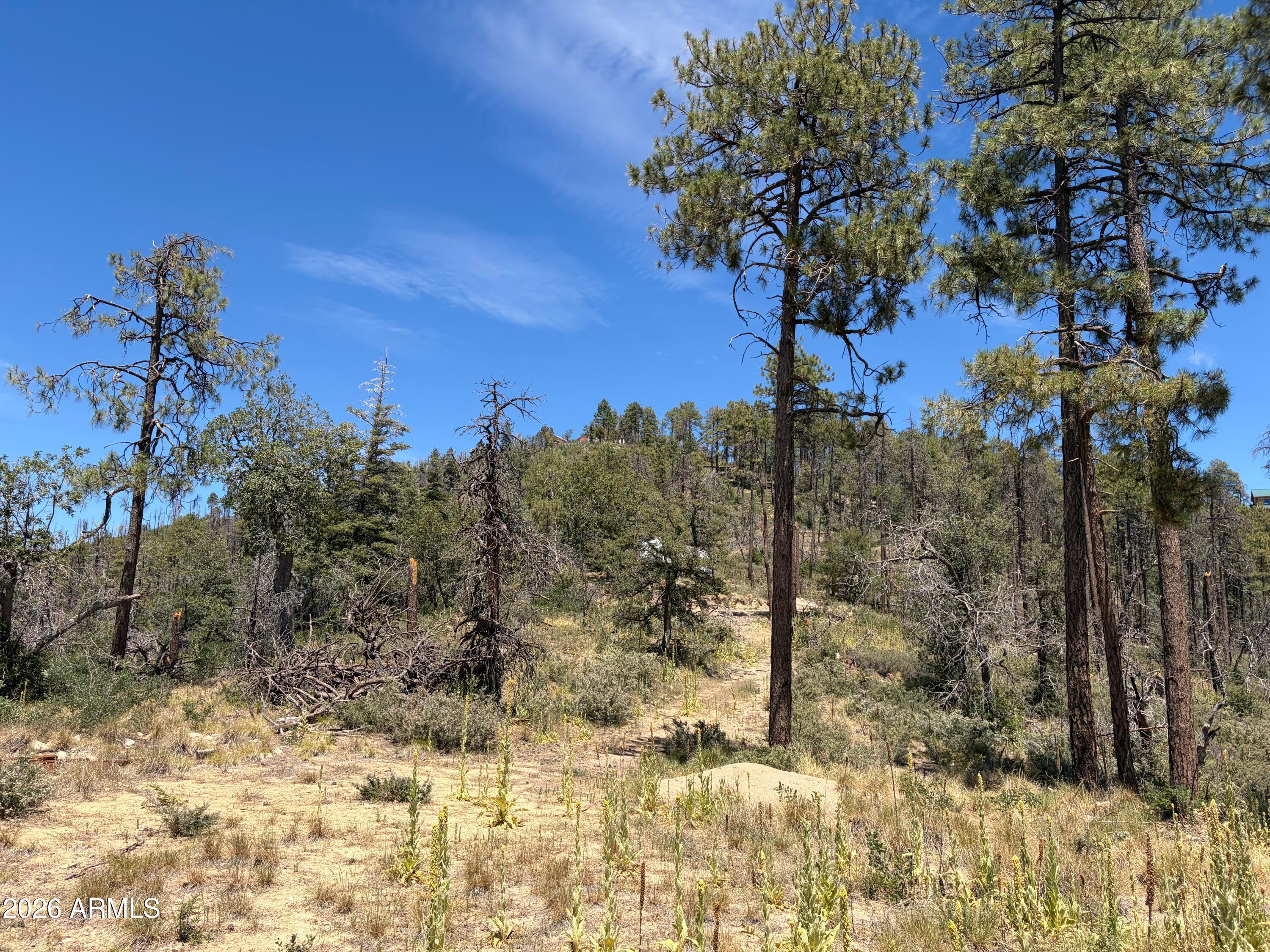 1002 S turkey trot Trail -