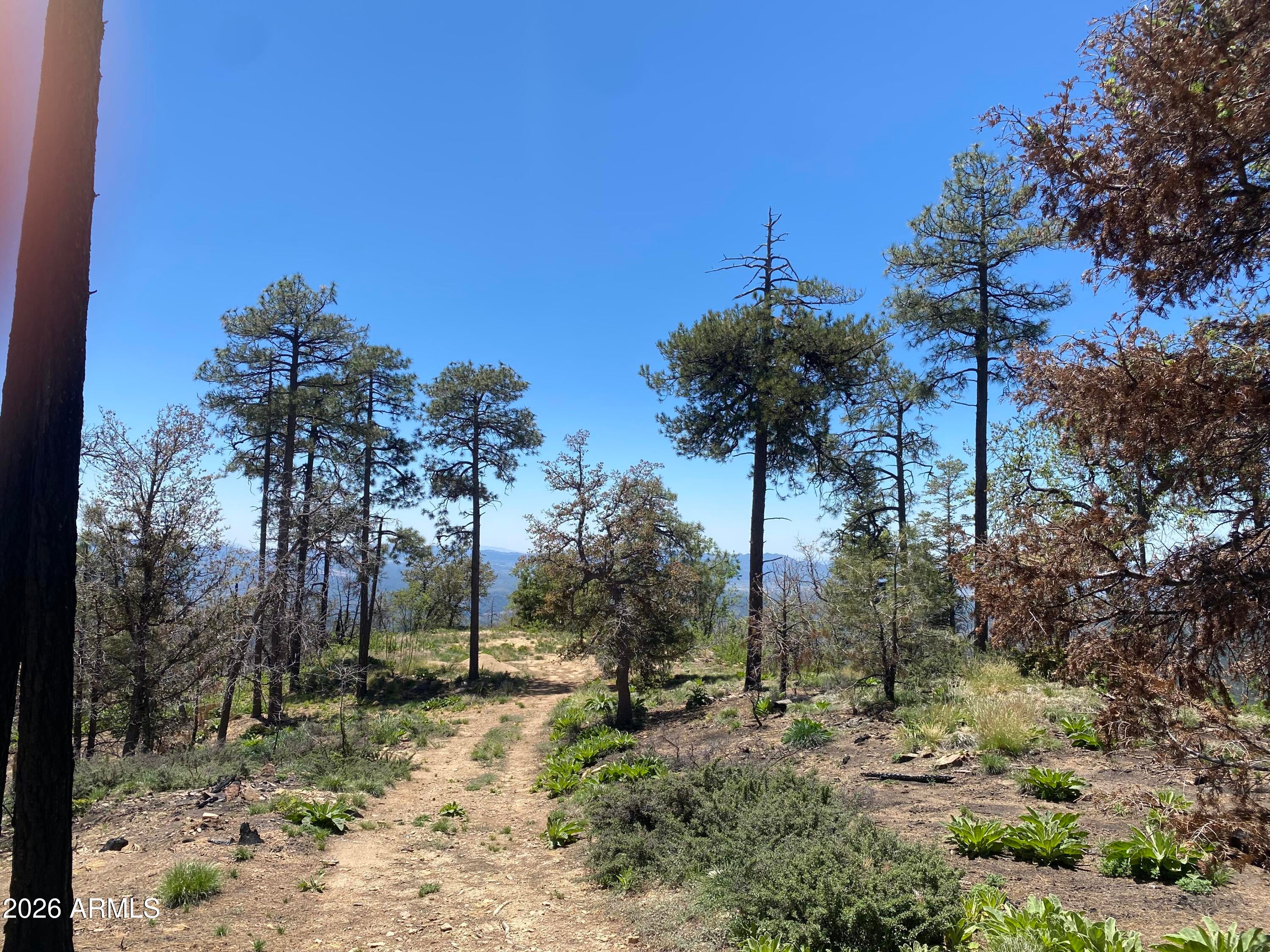 1002 S turkey trot Trail -