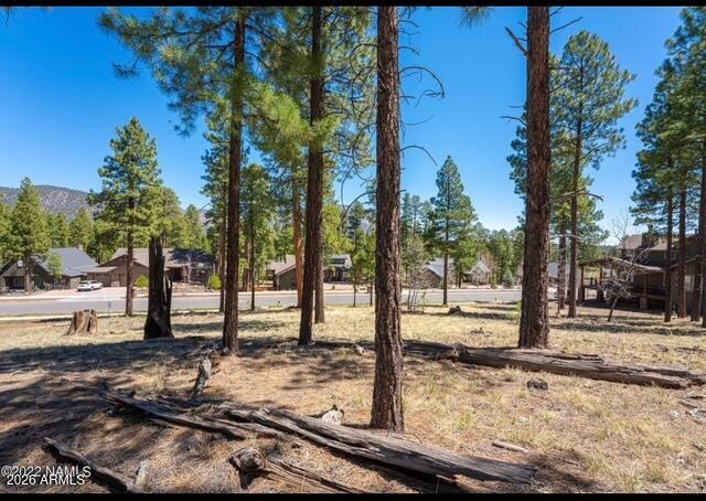 2057 N COBBLESTONE Circle N 11